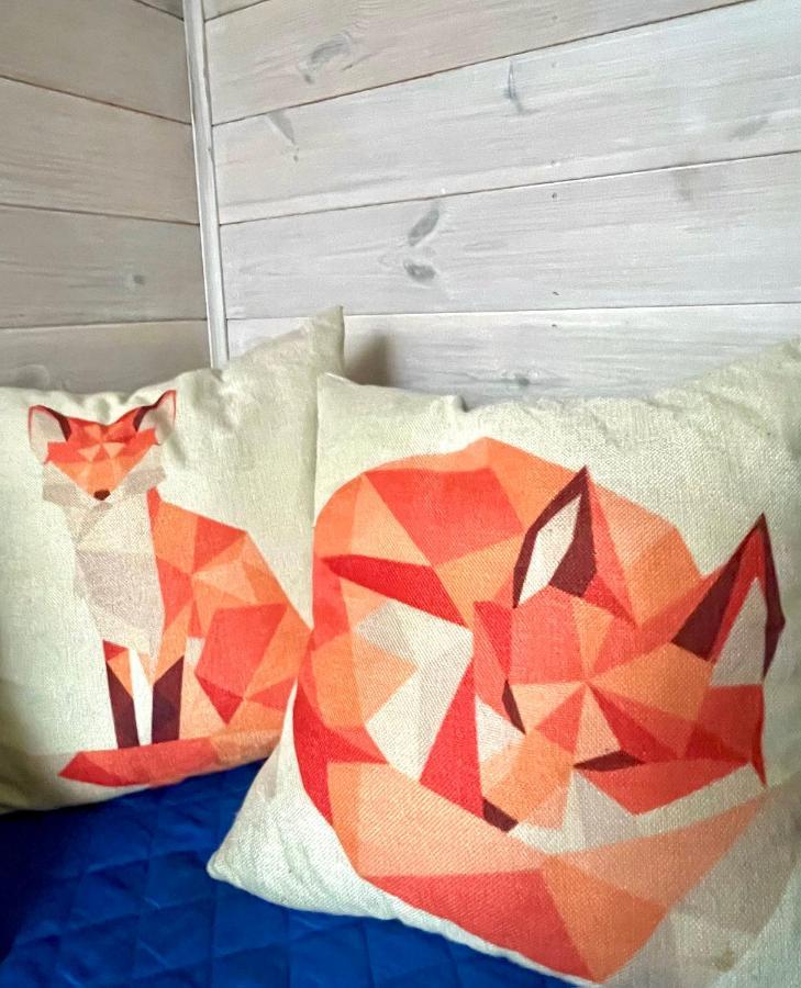 Guest House Mr Fox Druskininkai Eksteriør bilde